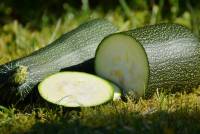 zucchini-1659094_1920